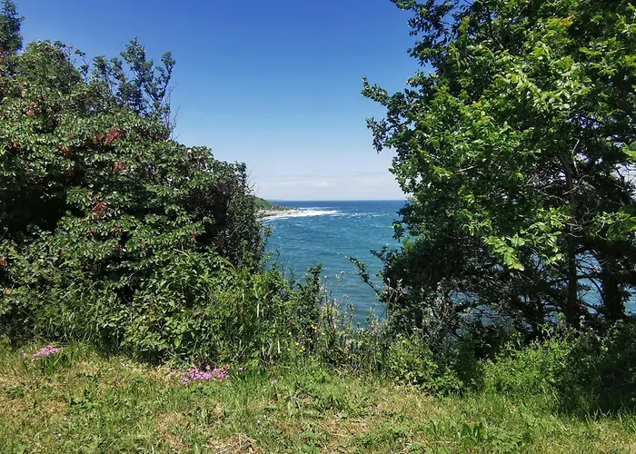 Timeless Sea * Carevo