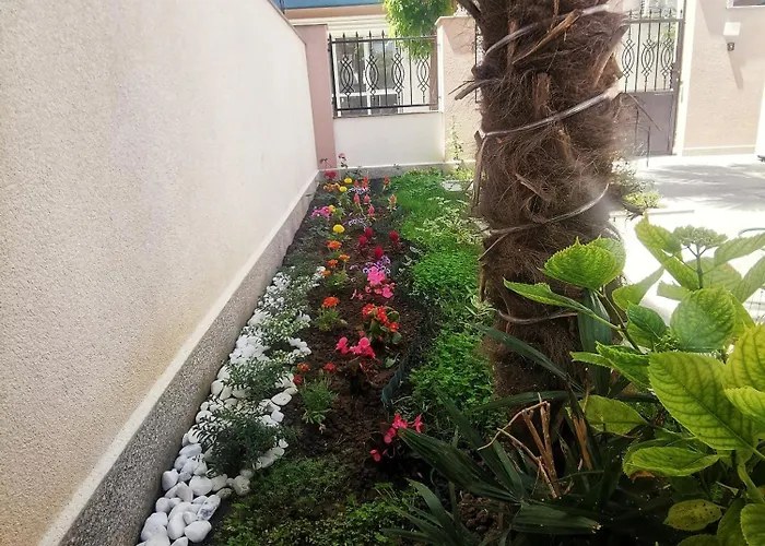 Timeless Sea * Carevo