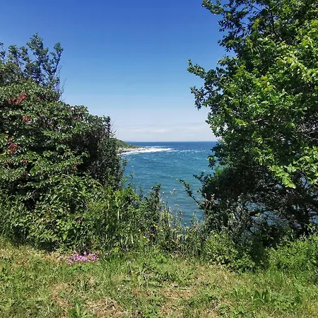 Timeless Sea * Tsarévo